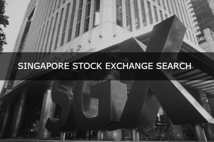 how-to-invest-in-the-singapore-stock-exchange-safely-kyc-lookup